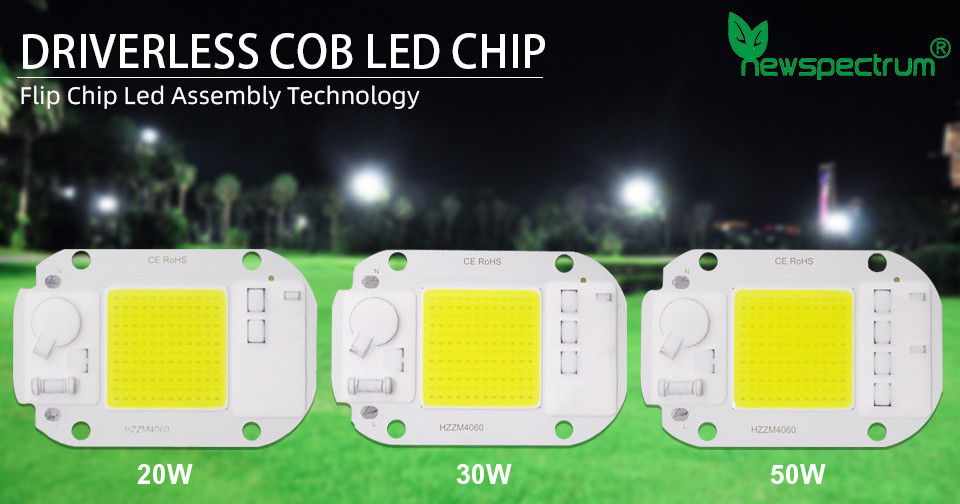 Customized Logo AC COB LED