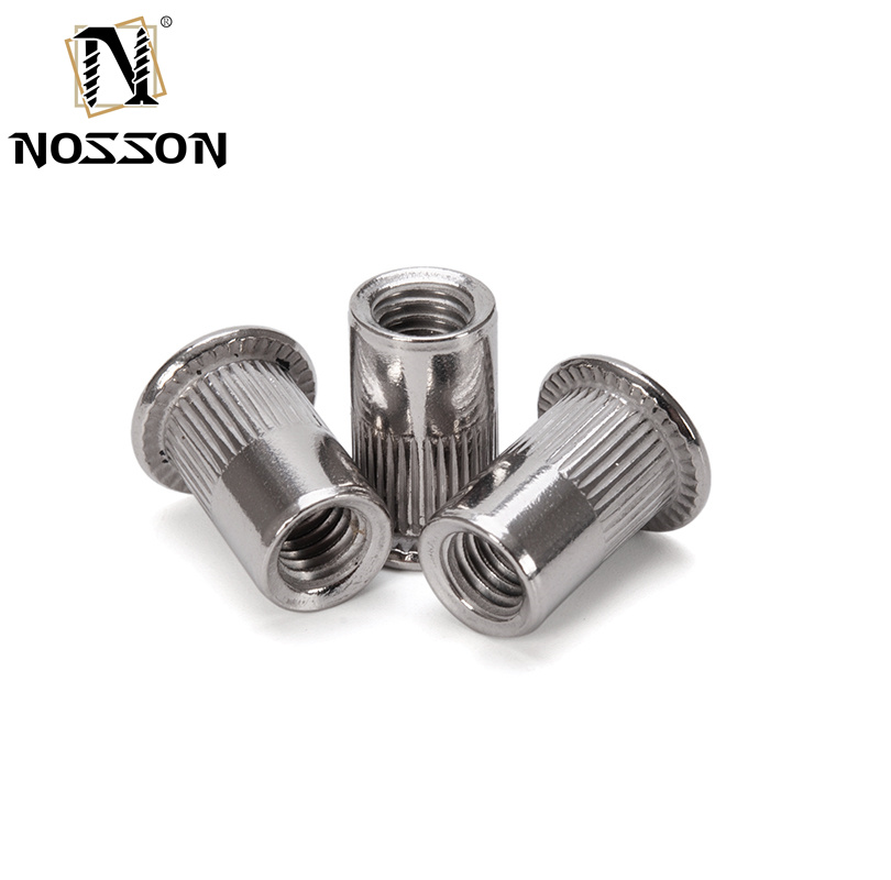Metric 304 Stainless Steel Flat Head Carborsteel Galvanizing M5 M6 M8 Rivet Nut for Water Treatment Application from Fastener