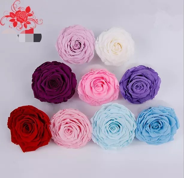 China factory Real Preserved Rose in Gift Box for Decoration Gift Preserved Flowers in Box