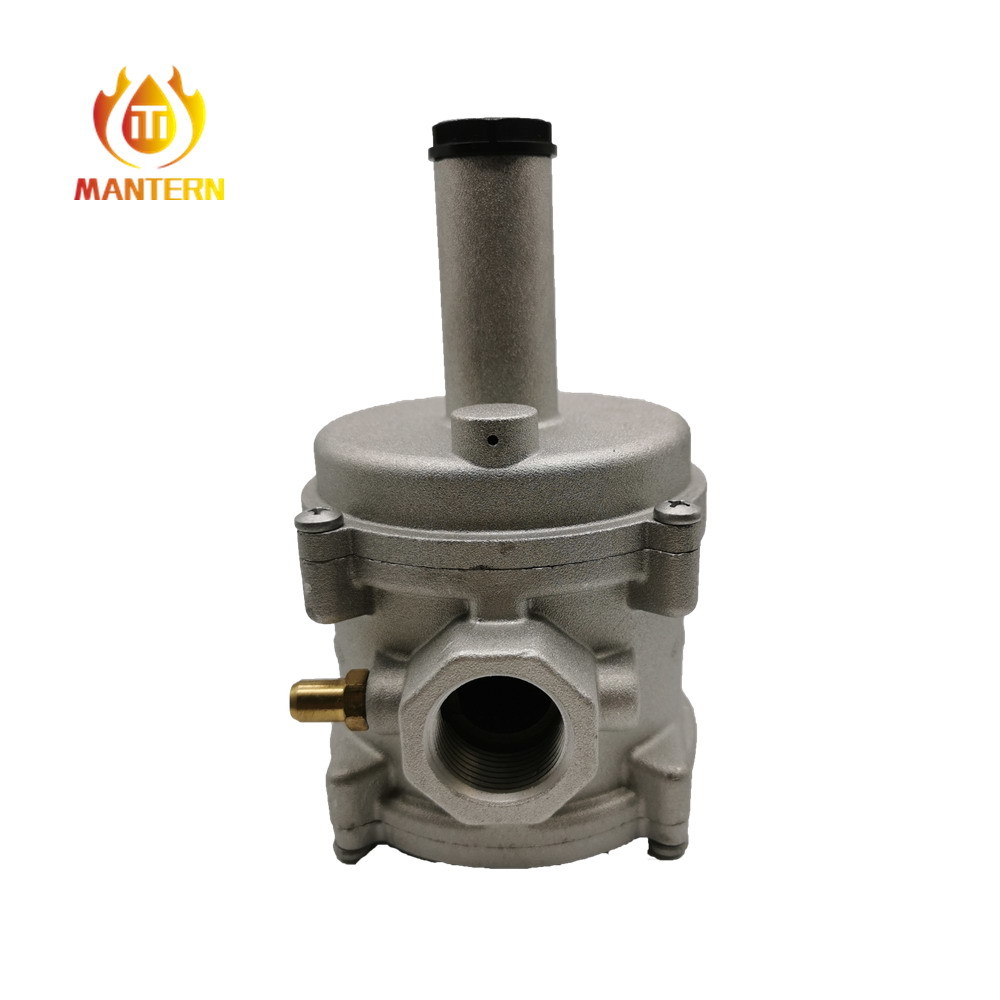 Home / Industry Natural Gas Adjustable Gas Regulator With Filter Gas Relief Valve