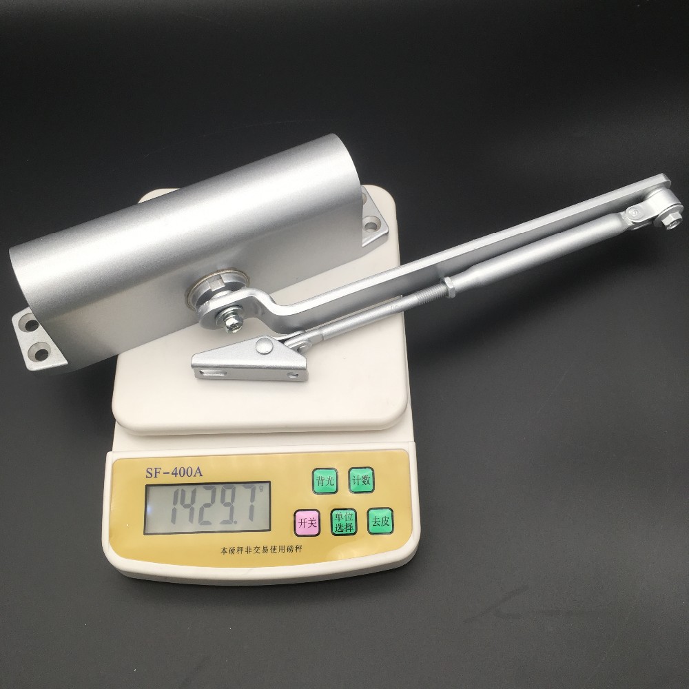 80kg Door Soft Close Door Closer with Heavy Duty Hydraulic System Sliver/Customized
