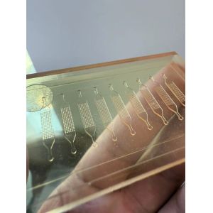 Zegota Microfluidic Chip Microfluidic CMOS Integration Service