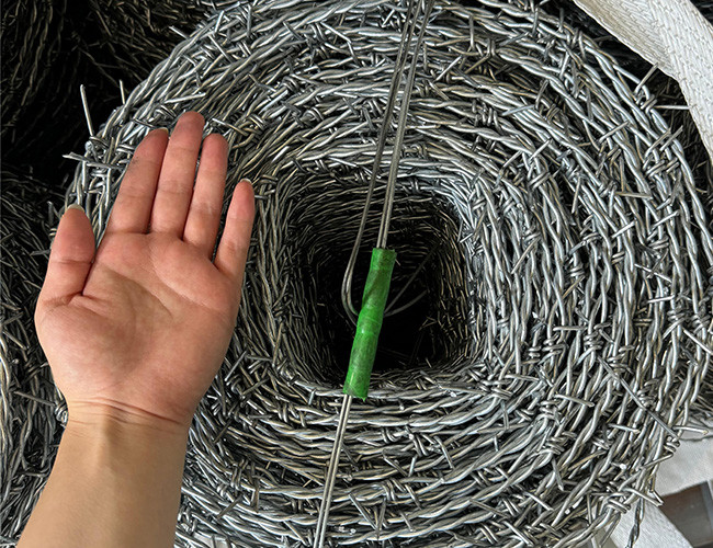 Electro-Galvanized Security Barbed Wire For Isolating And Protecting