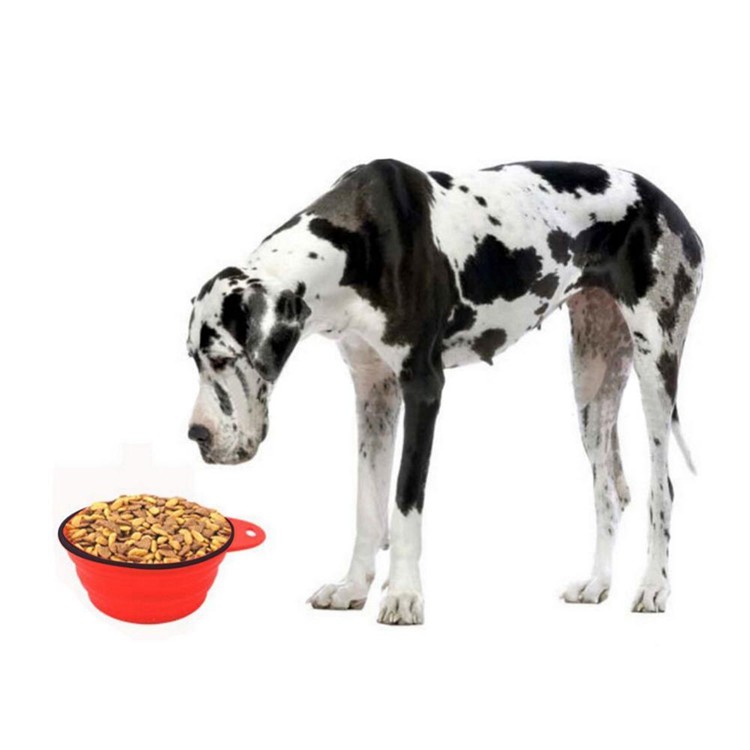 Slow Feed Collapsible Dog Water Bowl , Interactive Durable Travel Dog Bowl Collapsible