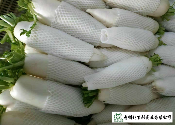 Organic Smooth Surface Fresh White Radish No Moldy Detoxification Function
