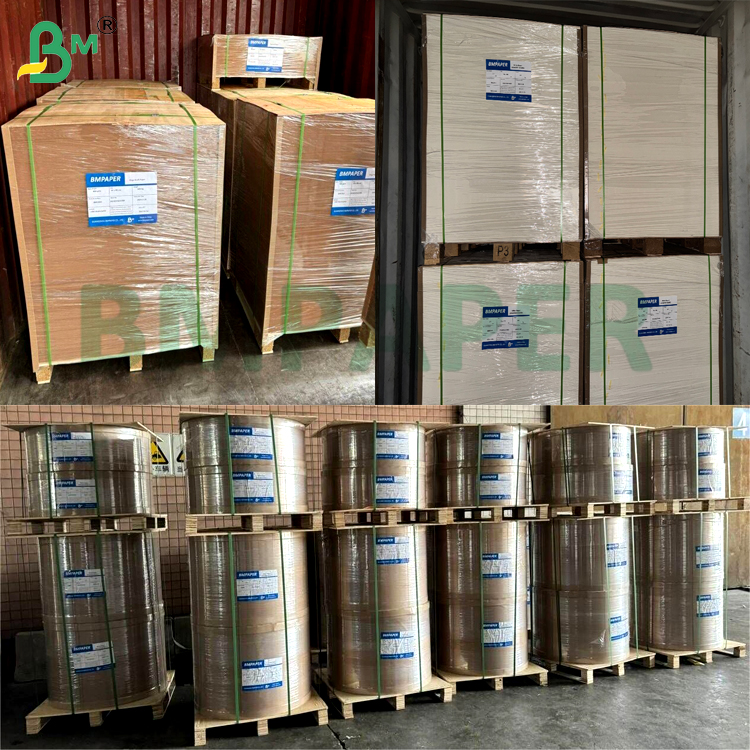 Eco - Friendly Waterproof Good Stiffness Cup Paper Board Non - Toxic 100gsm PE Coated