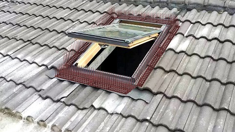 Plastic Transparent Base Stainless Bird Spikes Pest Type Birds Long-Lasting Repellent