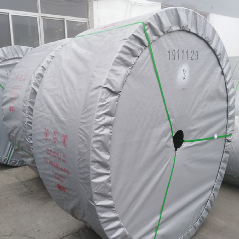 OEM EP200 Chemical Resistant Special Conveyor Belts