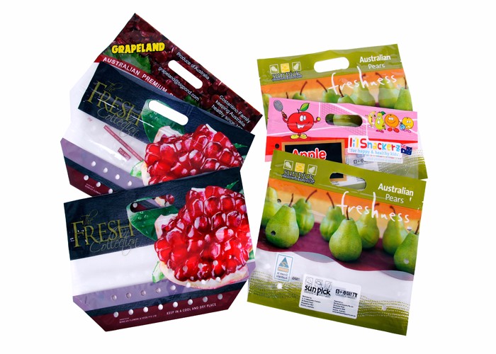 Stand Up Pouch Zipper Fruit Packaging Bags Custom Plastic With Handle Holes
