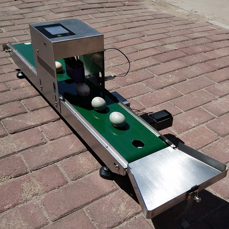 Professional Egg Marking Equipment Egg Inkjet Printer 1600x410x980mm Size
