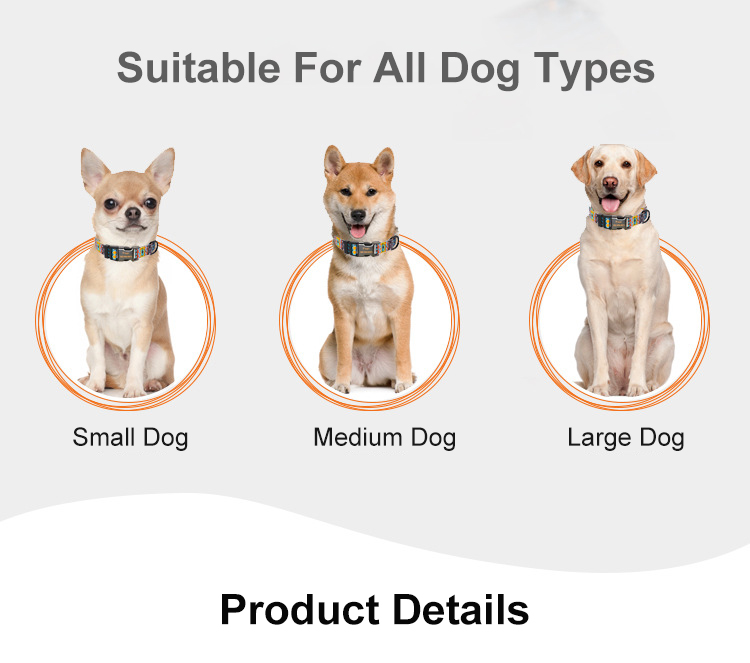 Beautiful Pattern Adjustable Nylon Collar Customized Color Pet Dog Accessories