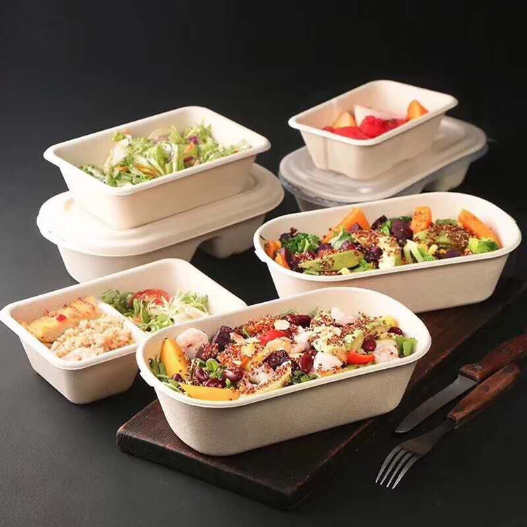 22.4x16x4.5cm Biodegradable Bamboo Pulp Packaging 850ml Microwaveable