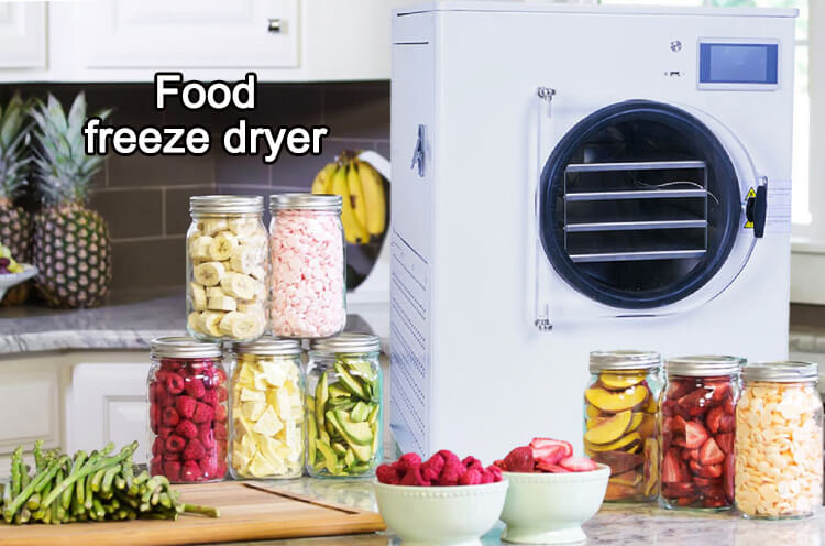 tabletop freeze dryer