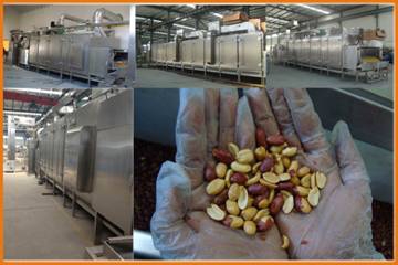 Multifunctional Continuous Peanut Roaster Gas Power 380 - 440v