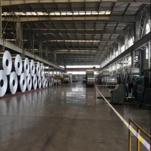 China 2A21 5052 99% Pure Aluminum Strip Coil T3 - T8 Mill Finish Coated 500mm Width on sale