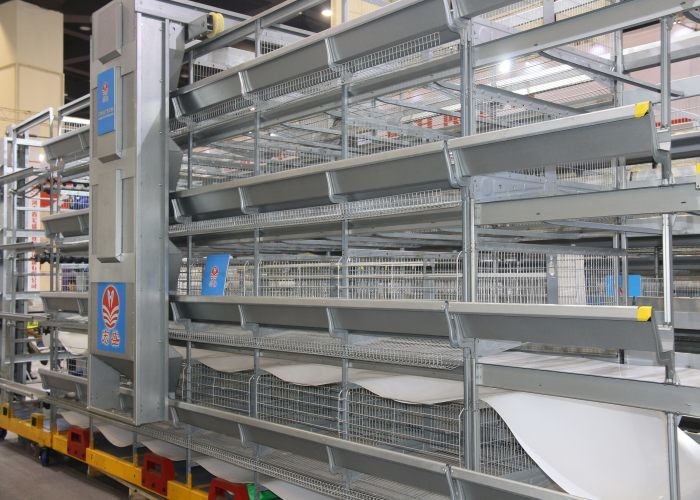 Commercial Automatic Poultry Feeder System Automatic Poultry Feeder System