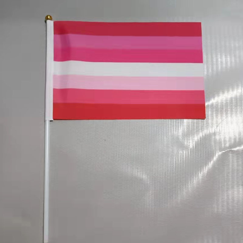 Printed Double Sided Pride Flag Hand Held 100% Polyester Material