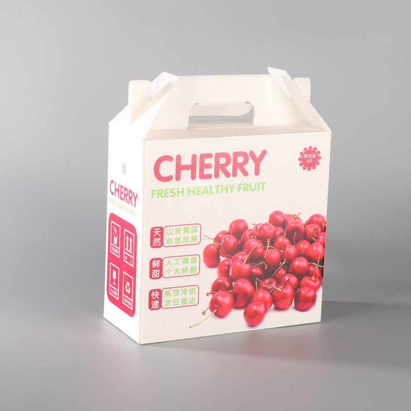 Eco White Plastic Turnover Box PP Hollow Plastic Corrugated Box Fruit Gift Moving Carton