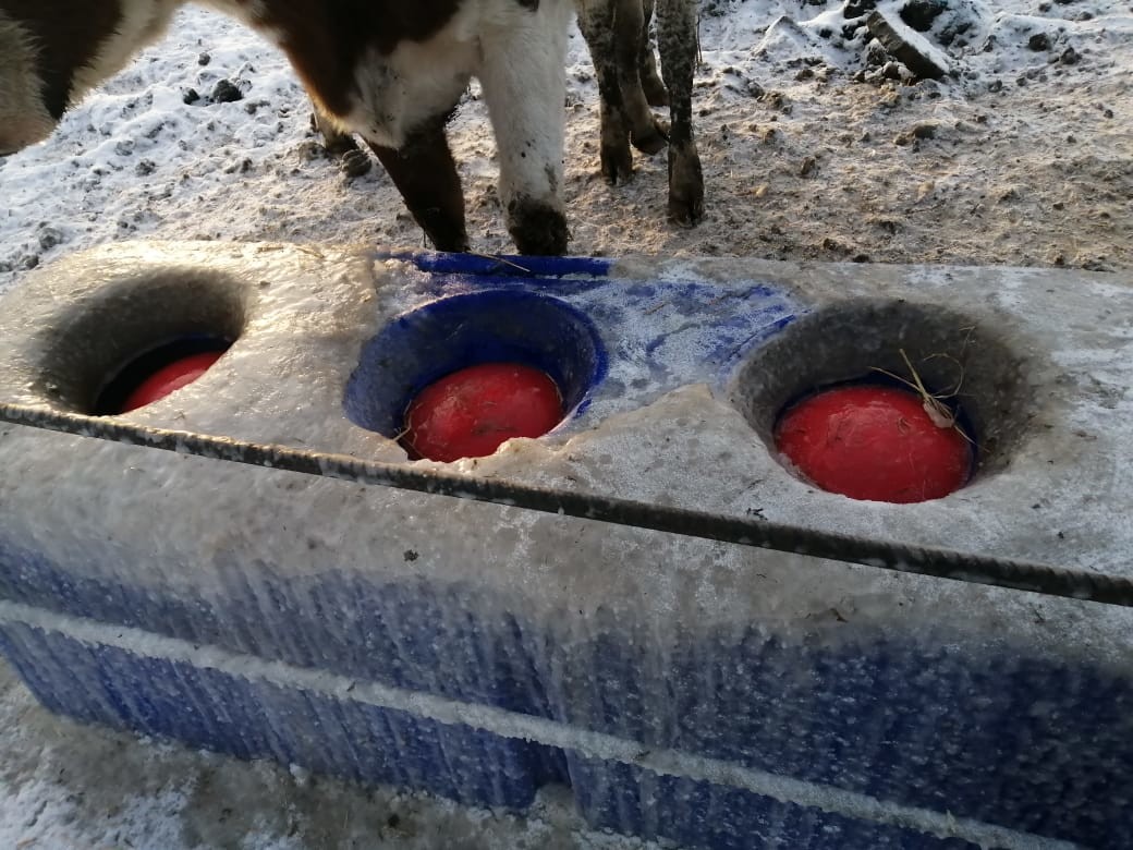 ISO9001 LLDPE L4000mm 220L Livestock Water Tank