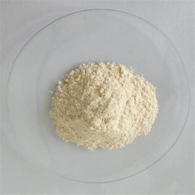 10:1 wholesale garcinia cambogia in bulk