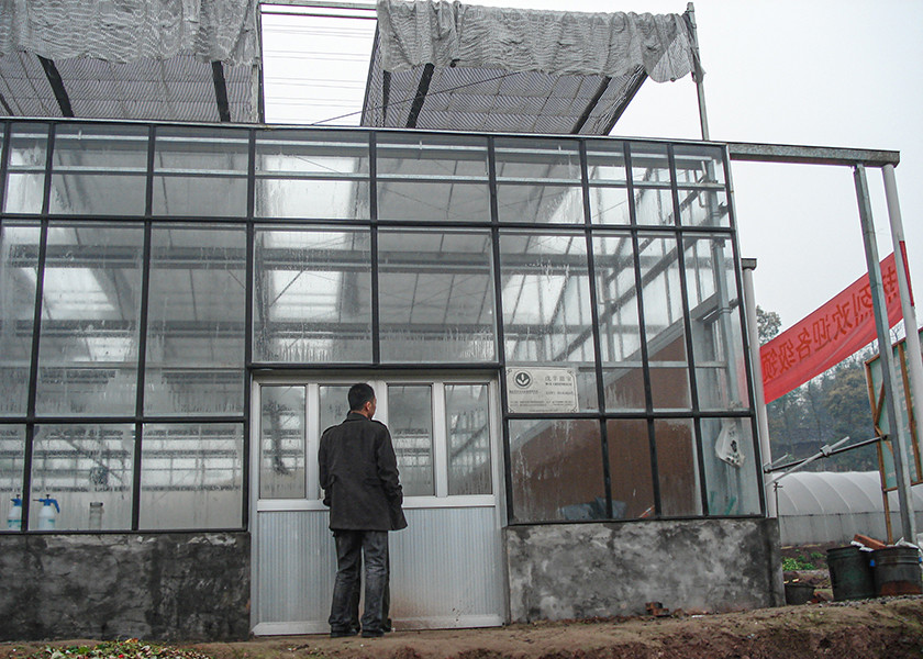 Ultra-Transparent, Sturdy Galvanized VENLO Glass Greenhouses - Ideal For High-Value Flower Cultivation