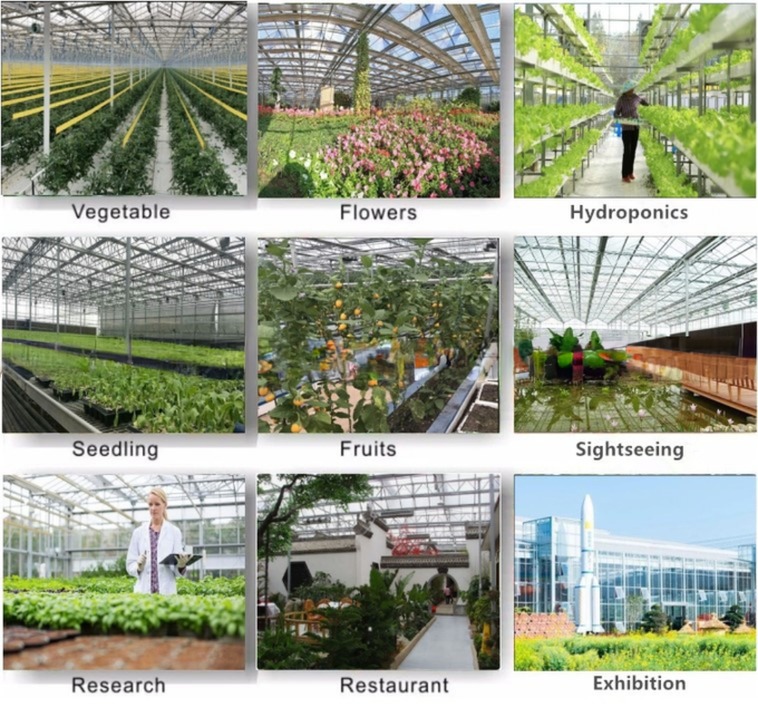 PC Plastic Polycarbonate Sheet Multi Span Hydroponic Greenhouse