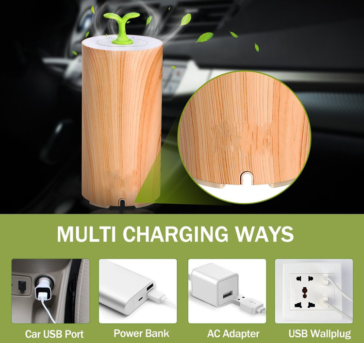 Light Wood Grain Portable USB Scent Nebulizer