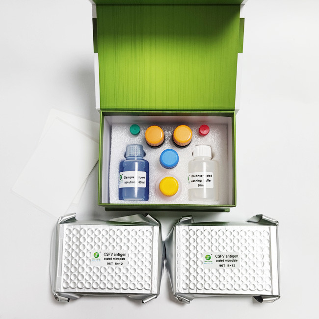 10min Swine Fever Virus Antibody Diagnostic ELISA Kit 192 Wells/Kit GMP