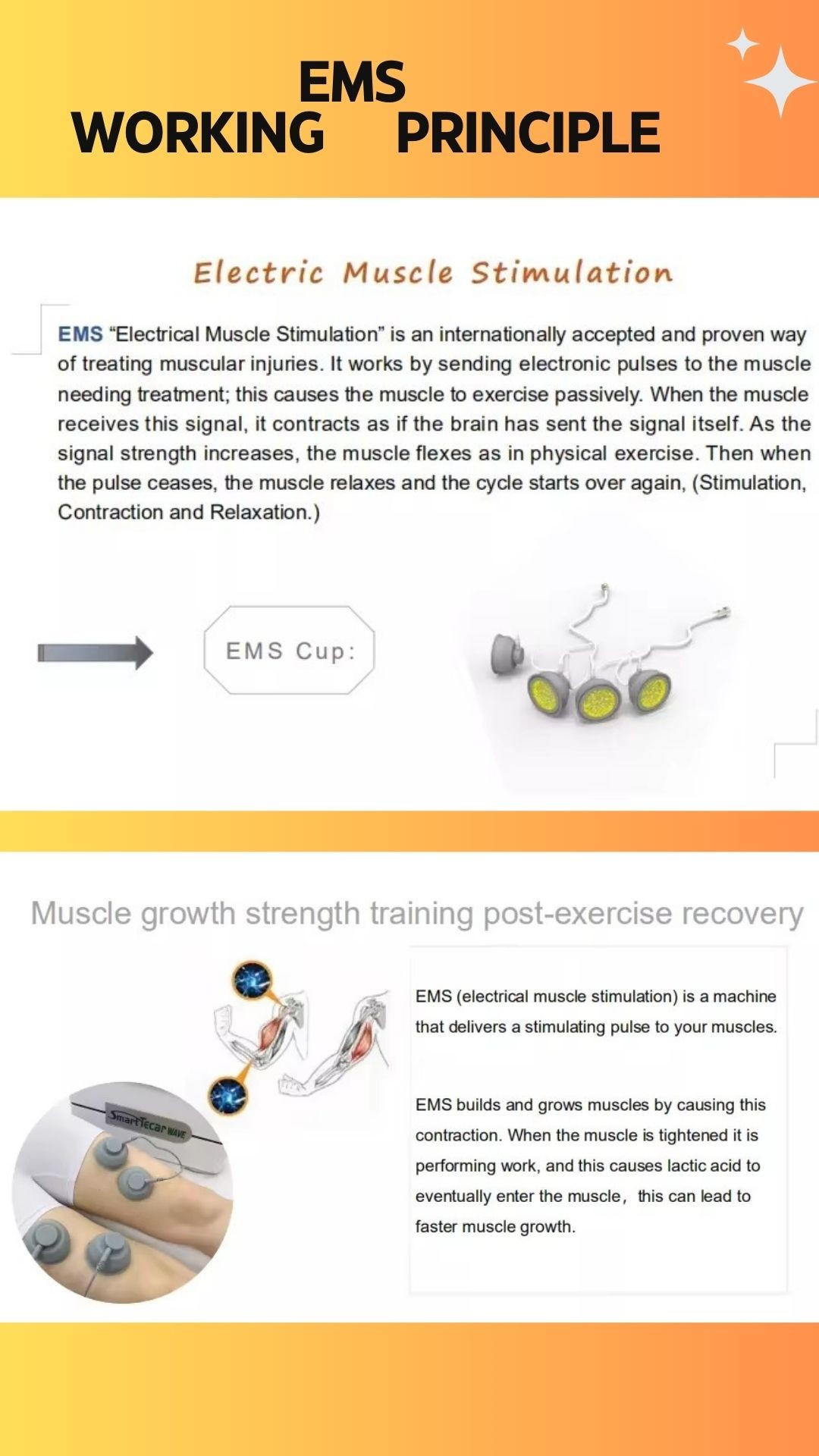 3 In 1 Portable Smart Tecar Ret Cet Pain Relief Shockwave Therapy Machine Ret Cet Rf Slimming Machine