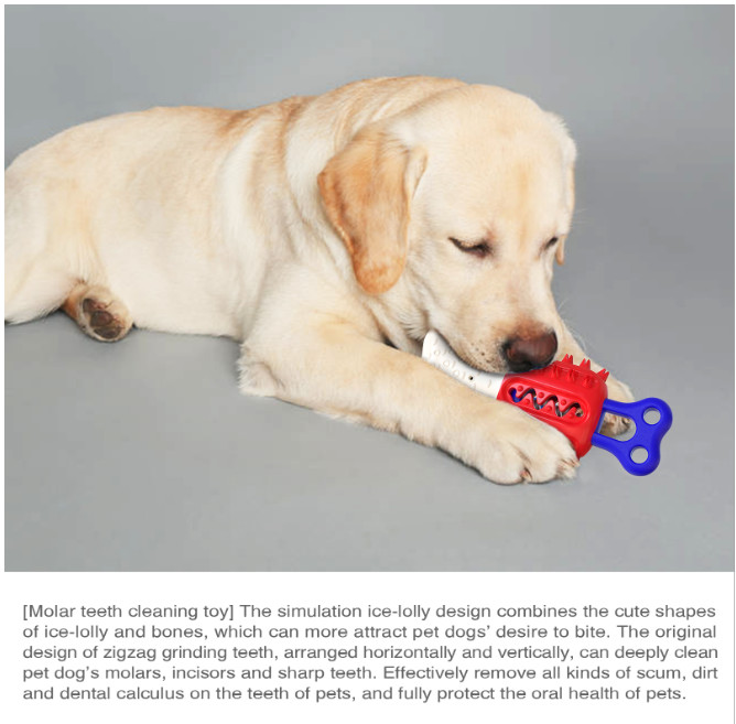 Ice Lolly Dog Chew Toy Brushes Teeth Floatable TPR ABS Material
