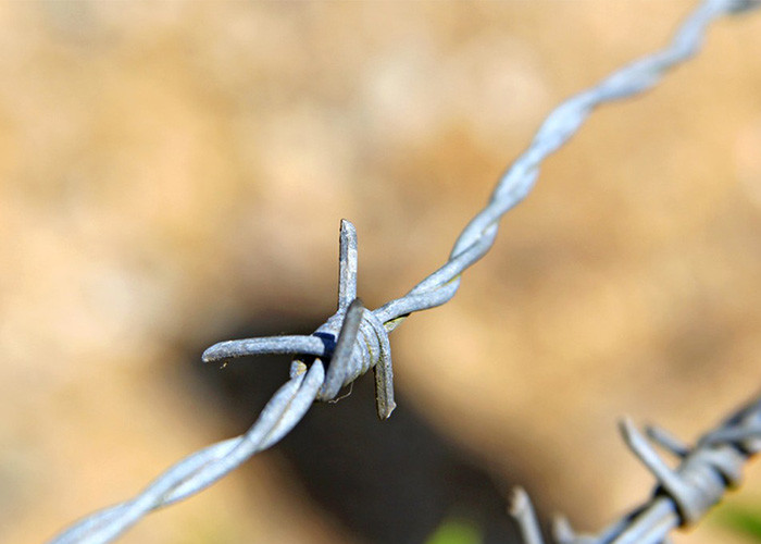 Garden Anti-Theft Single Strand Hot Dipped Galvanized Barbed Wire Price Per Roll