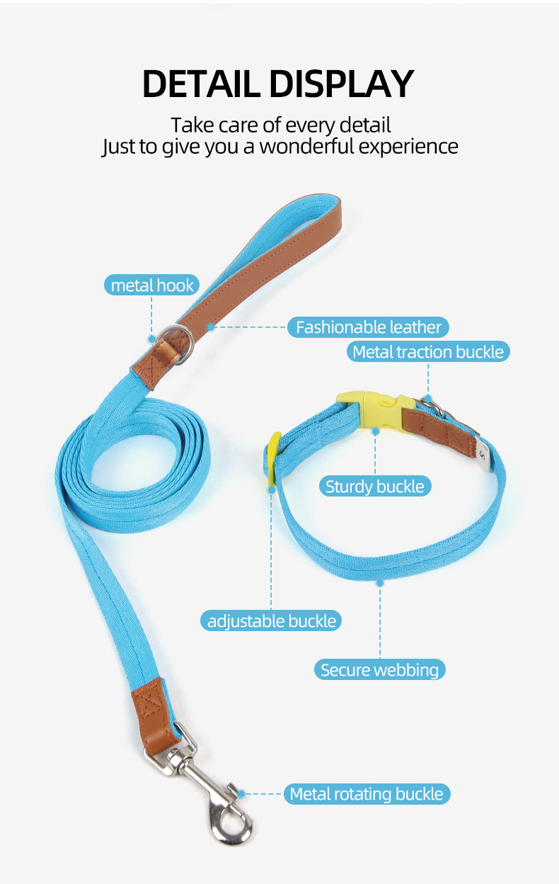 Pet Lightweight Multicolor Anti-Escape Pet Collar And Leash Set For Training Walking Dogs