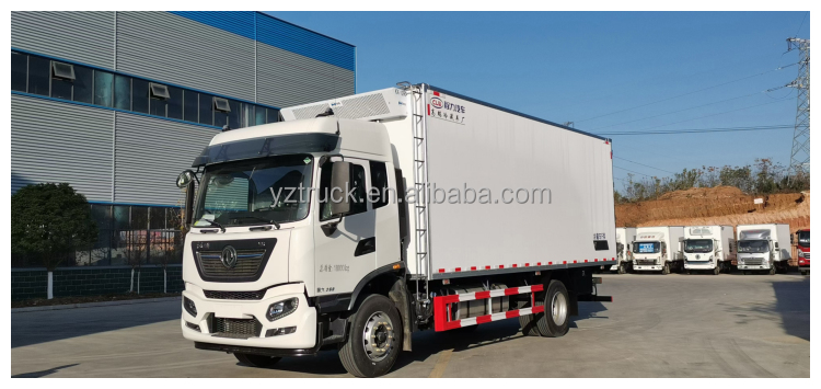 11-20T Cummins Manual Fast Automatic Camera Refrigeration Truck Left Van Euro 6 4x2 Dongfeng Used