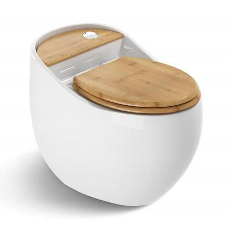 Upgrade Your Bathroom with Elegance One Piece Dual-Flush Gold Ceramic WC Toilet Bowl