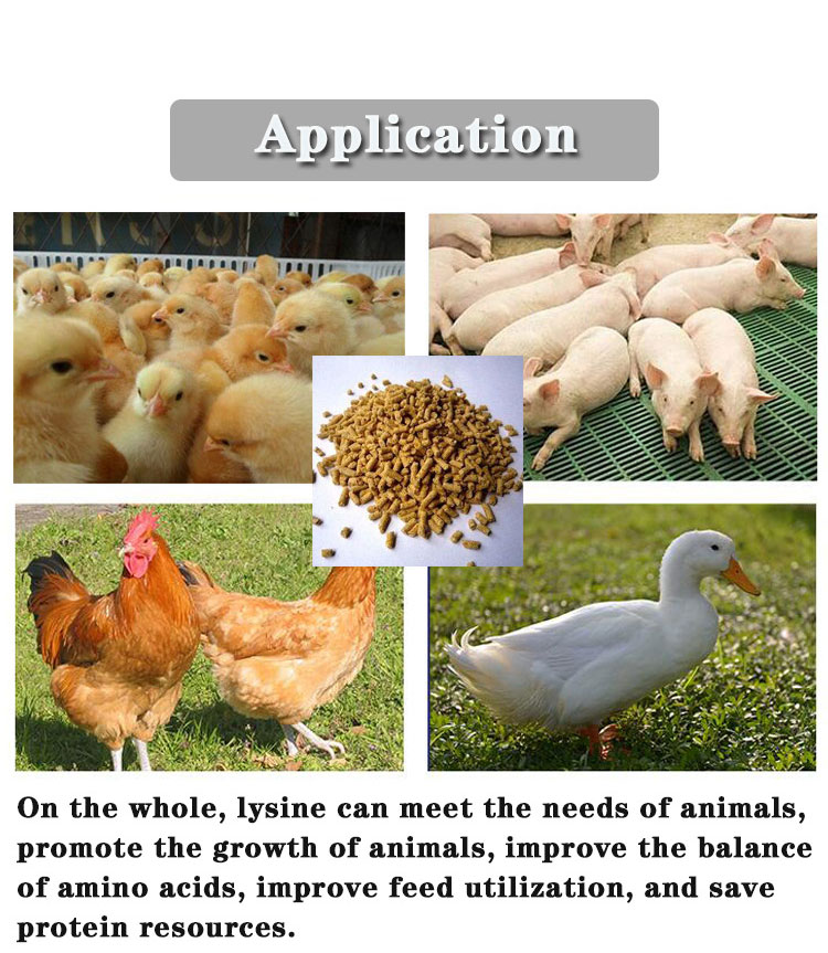 Light Brown to Brown Particles 70% Lysine for Poultry Feed Raw Materials in 25kg Bag