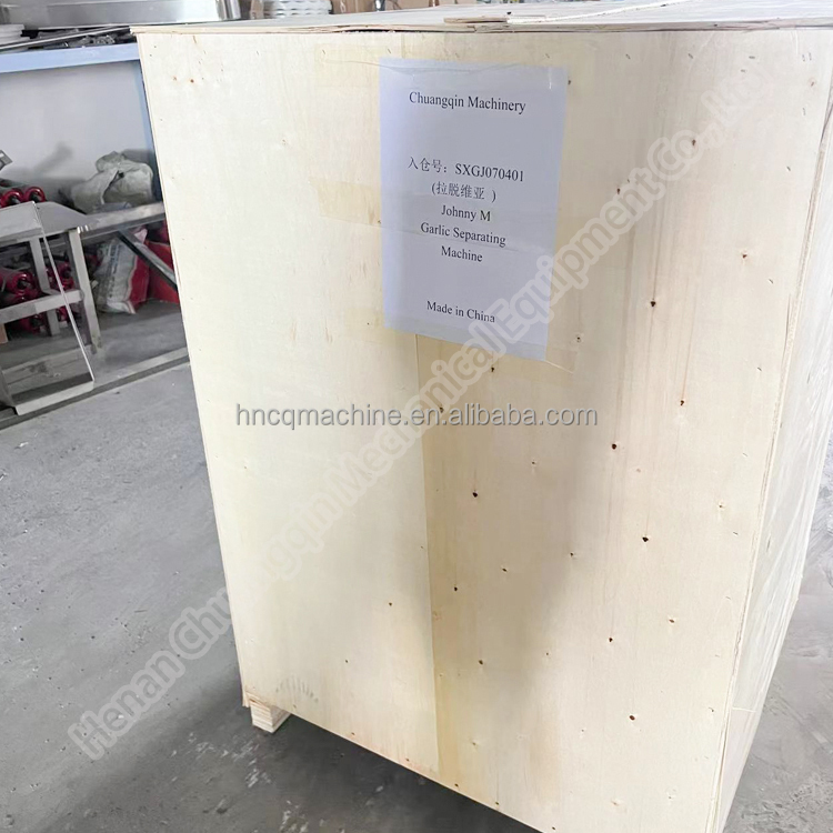 Automatic Garlic Clove Breaking Machine Stainless Steel Garlic Separating Machine Garlic Splitter Peel Machine