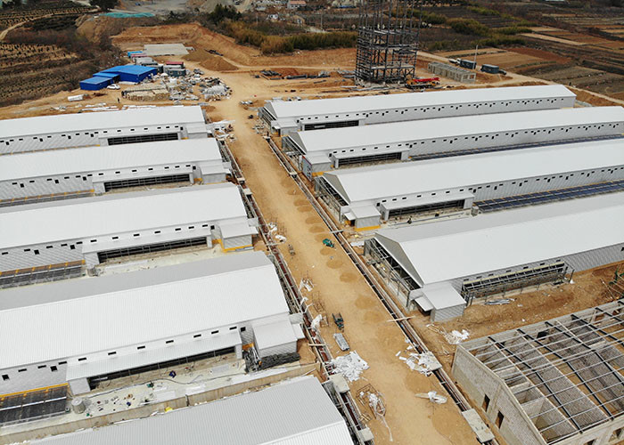 Multi Storey Two Storey Steel Structure Building Chicken Farm House
