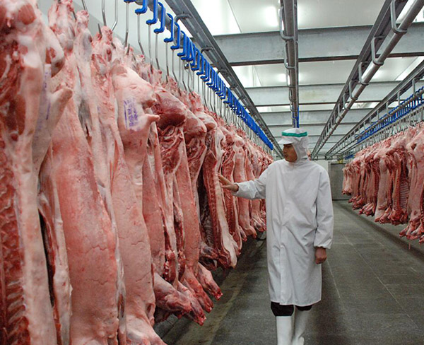 Vegetables Cold Room Freezer Walk In Cold Storage Units For Keep Fresh Fruits Fish Transportation