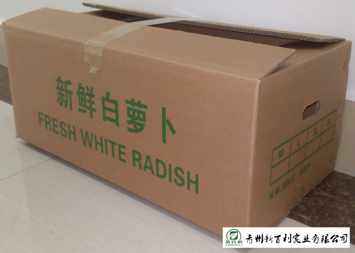 Organic Smooth Surface Fresh White Radish No Moldy Detoxification Function