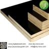 Buy cheap 18MM Black film formwork from wholesalers