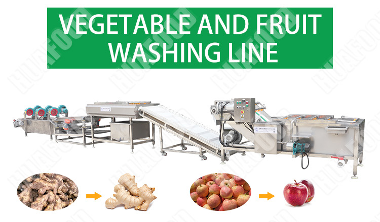 Kelp Drying Machine Seaweed Hot Air Dryer Seafood Drying Equipment