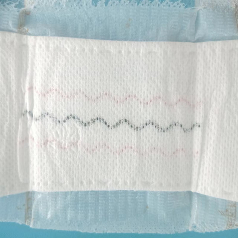 ISO9001 CE Certified Customized Herbal Anion Women's 2022 Incontinence Panty Liner