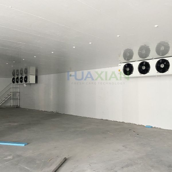 Fresh Vegetable Fruit Insulation Refrigeration Condensing Unit Walk in Freezer Cold Room
