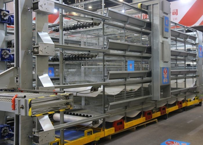 High Efficient Automatic Egg Collection System Harvest Conveyor System