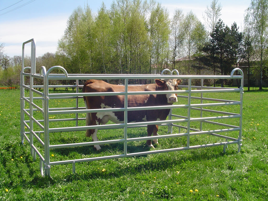 Welded Netting Manufacture Supplier 2x2 Galvanized Cattle Welded Wire Mesh Panel