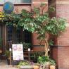 Buy cheap Outdoor Fake Lagerstroemia Indica Tree For Corner Decoration 3m Height from wholesalers