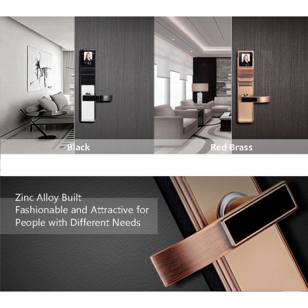 Digital Electronic Keyless Door Locks , Face And Finger Recognition Door Locks