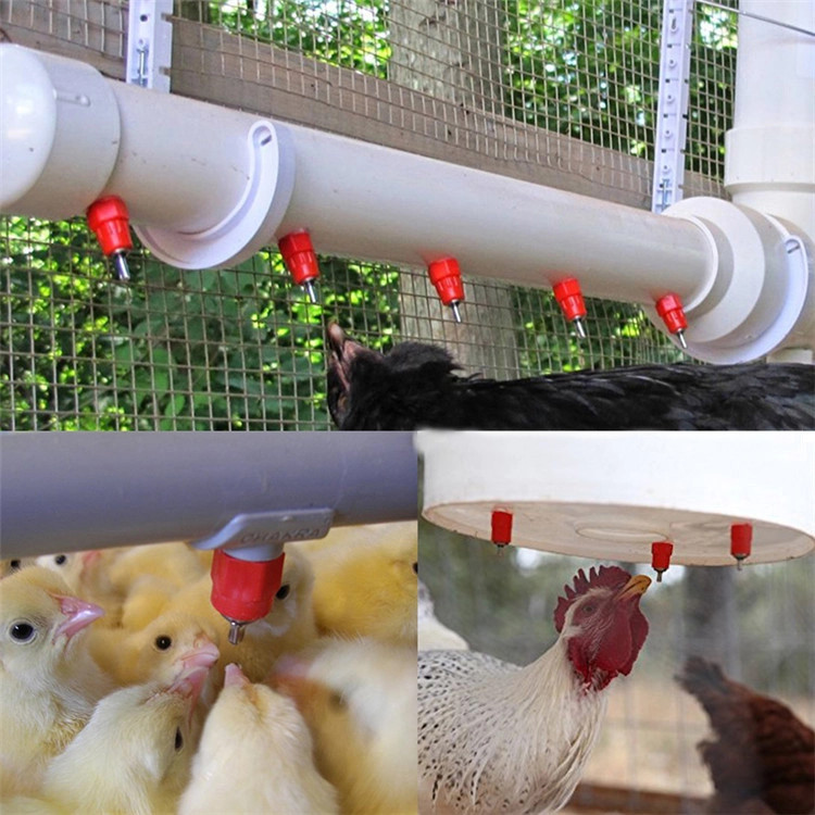 Stainless 11.5g Baby Chicken Nipple Drinker System