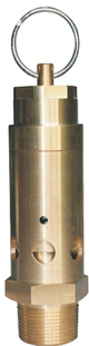 Spring Open Type 1.35Mpa RSV Brass Safety Valve 1/8" - 2" PT For Air Compressor
