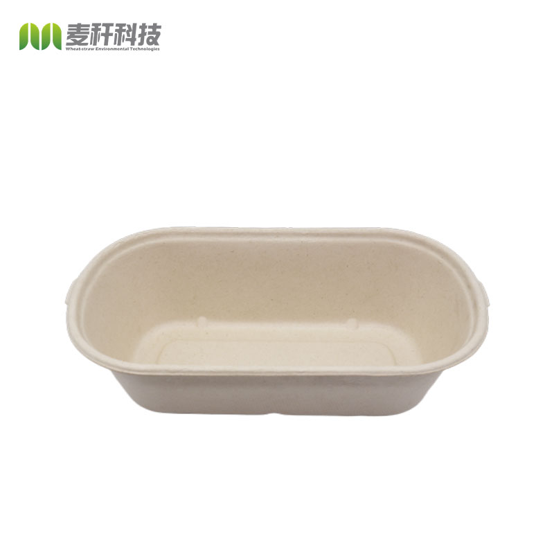 Disposable Biodegradable Sugarcane Bagasse Takeaway Lunch Food Tray with Lid